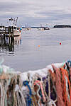 Click to see Y-JG-FUJI-X-T5-1643-MOD.JPG