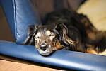 Click to see Y-WB-XT5-DSCF0178.JPG
