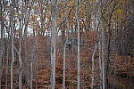 Click to see Y-WB-XT5-DSCF0251.JPG