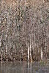 Click to see Y-WB-XT5-DSCF0382.JPG
