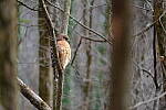 Click to see Y-WB-XT5-DSCF0574.JPG