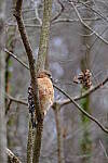 Click to see Y-WB-XT5-DSCF0790.JPG