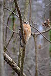 Click to see Y-WB-XT5-DSCF0833.JPG