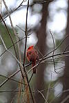 Click to see Y-WB-XT5-DSCF0870.JPG
