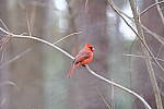 Click to see Y-WB-XT5-DSCF0880.JPG