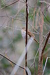Click to see Y-WB-XT5-DSCF0915.JPG