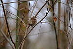 Click to see Y-WB-XT5-DSCF0929.JPG