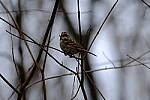 Click to see Y-WB-XT5-DSCF0937.JPG