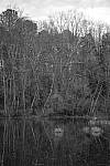 Click to see Y-WB-XT5-DSCF1019.JPG