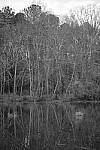 Click to see Y-WB-XT5-DSCF1020.JPG