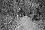 Click to see Y-WB-XT5-DSCF1025.JPG