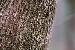 Click to see Y-WB-XT5-DSCF1028.JPG