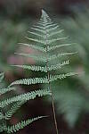 Click to see Y-WB-XT5-DSCF1039.JPG