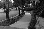 Click to see YDSCF1573.JPG