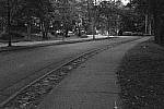 Click to see YDSCF1578.JPG