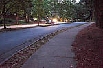 Click to see YDSCF1579-RAWdefaultNR-COne.jpg