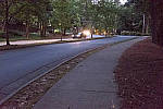 Click to see YDSCF1579-RAWdefaultNR-LR.jpg