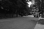 Click to see YDSCF1582.JPG