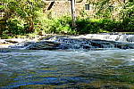 Click to see YDSCF1600.JPG