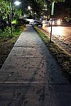 Click to see YDSCF1612.JPG