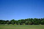 Click to see YDSCF1702.JPG