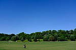 Click to see YDSCF1707.JPG