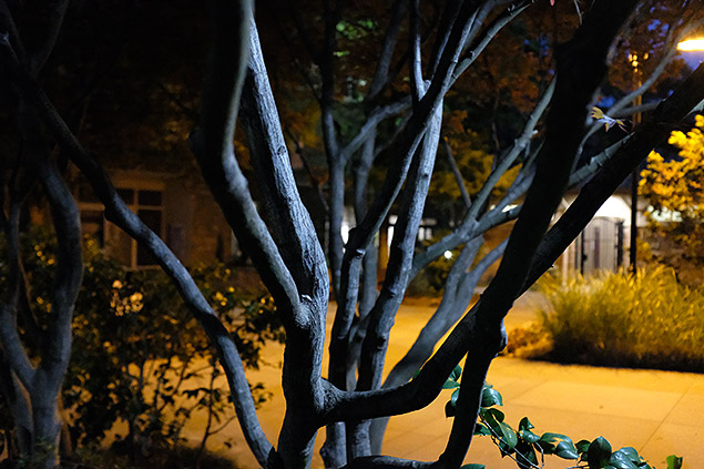 Fuji X100F Review -- Gallery Image