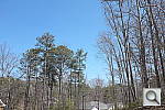 Click to see X100SPINE_RFCu200r03.JPG