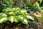 Click to see Y-WCL-DSCF3970.JPG