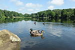 Click to see Y-WCL-DSCF3979.JPG