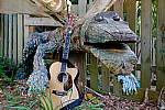 Click to see YTLC-DSCF3751.JPG