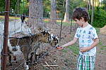 Click to see YTLC-DSCF3873.JPG
