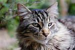 Click to see YTLC-DSCF3890.JPG