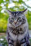 Click to see YTLC-DSCF3904.JPG