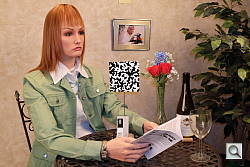 Click to see X100SINBFSP0.JPG