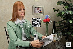 Click to see X100SINBMP1.JPG