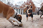 Click to see Y-DSCF0148-ADJSTD.JPG