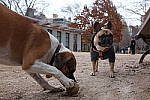 Click to see Y-DSCF0148.JPG
