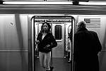 Click to see Y-DSCF0186.JPG