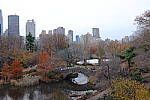 Click to see Y-DSCF0357.JPG