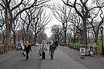 Click to see Y-DSCF0361.JPG