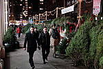 Click to see Y-DSCF0374.JPG