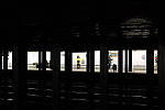 Click to see Y-DSCF0440.JPG