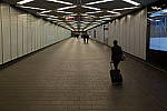 Click to see Y-DSCF0449.JPG