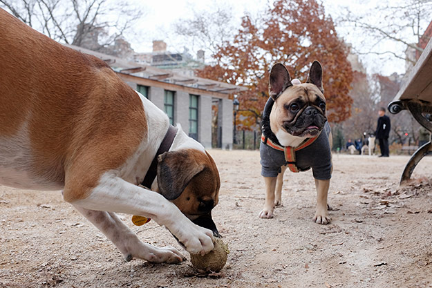 Fujifilm X100T Review - Sample Image