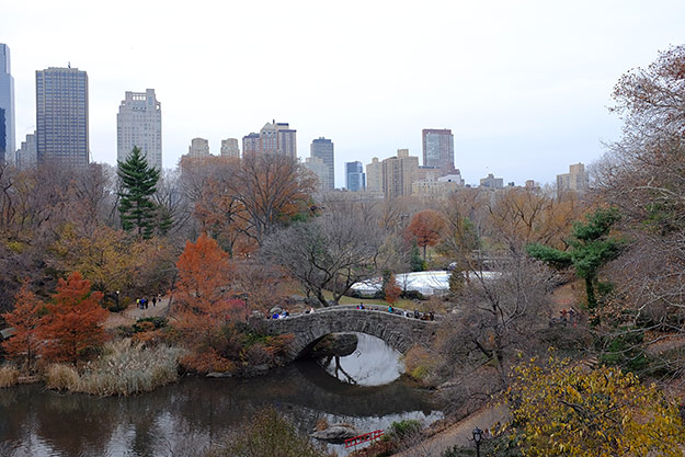 Fujifilm X100T Review - Sample Image