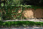 Click to see Y-WB-DSCF0163.JPG