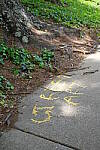 Click to see Y-WB-DSCF0226.JPG