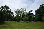 Click to see Y-WB-DSCF0232.JPG