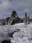 Click to see YDSCF1254.JPG
